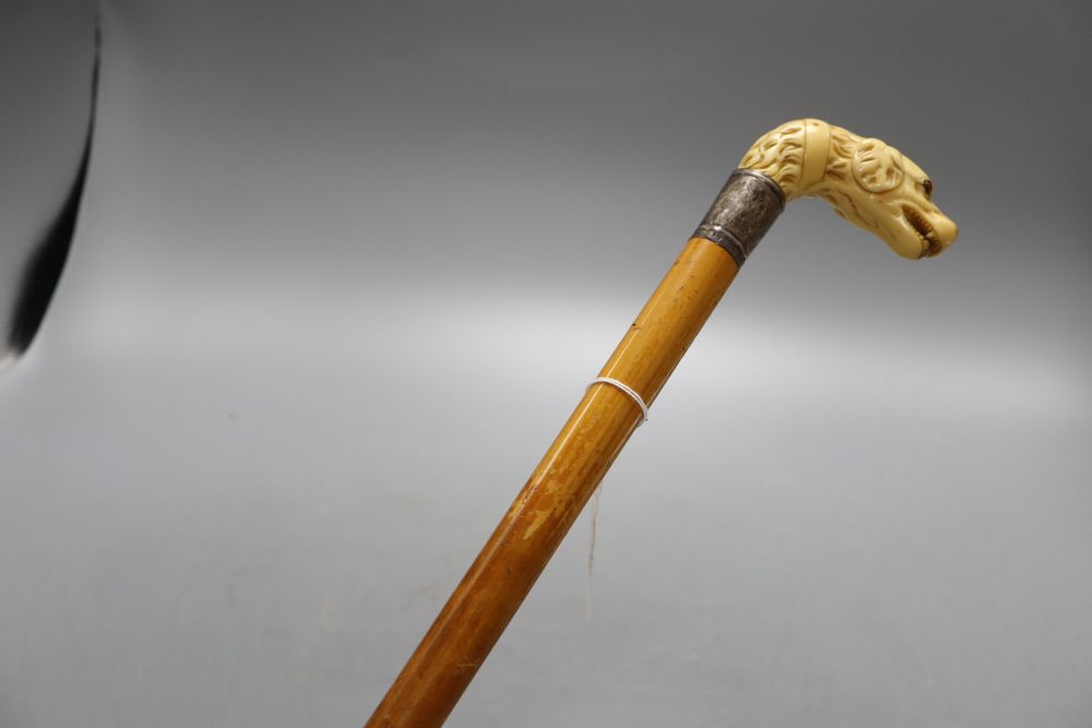 A Victorian ivory hounds head handle walking cane